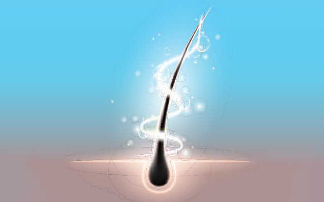 How To Nourish Your Hair Naturally?