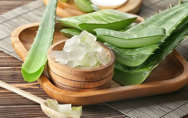 How To Use Aloe Vera For Hair Growth & Other Scalp Benefits