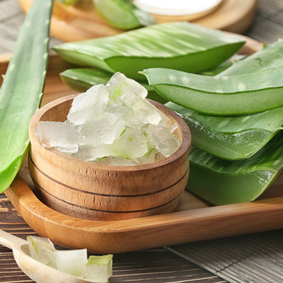 How To Use Aloe Vera For Hair Growth & Other Scalp Benefits