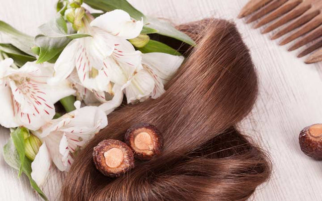 The Ultimate Ayurvedic Hair Care Routine For Healthy Hair
