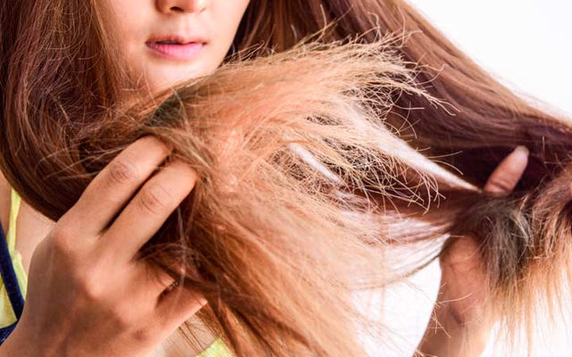 17 Hairstyles That Work Well on Damaged Hair ...