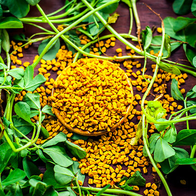 6 Benefits Of Fenugreek For Your Hair + How To Use