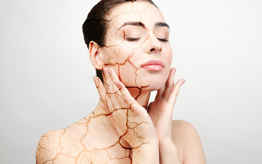 How To Treat Dry Skin Problems With Ayurveda?
