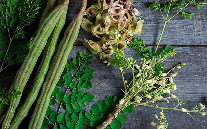 8 Amazing Benefits Of Moringa For Your Skin