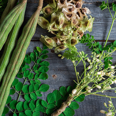 8 Amazing Benefits Of Moringa For Your Skin