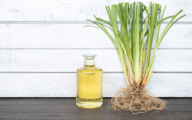 Top 9 Ayurvedic Benefits Of Vetiver For Your Skin