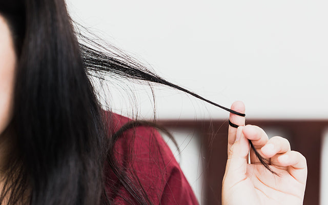 What Is Hair Elasticity & How To Improve It?