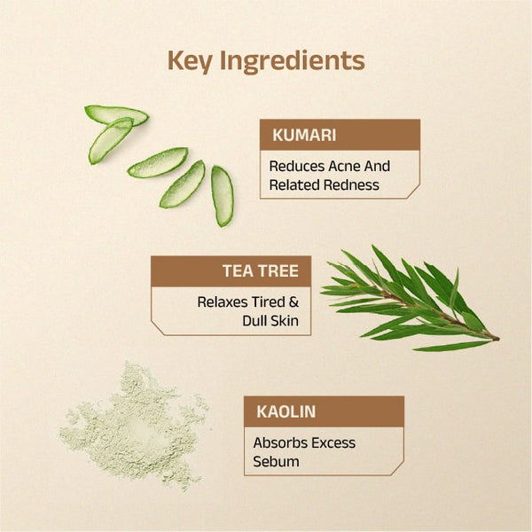Avasya Clay Mask With Aloe Vera & Tea Tree