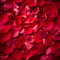 Rose petals