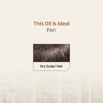 Shvedan Hair Oil With Castor & Sesame