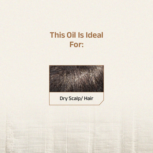 Shvedan Hair Oil With Castor & Sesame