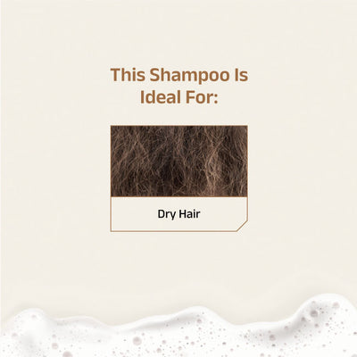 Vikleda Shampoo With Triphala & Jojoba