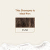 Vikleda Shampoo With Triphala & Jojoba