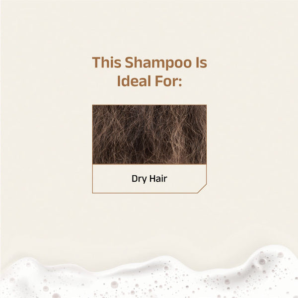 Vikleda Shampoo With Triphala & Jojoba