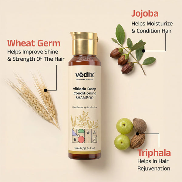 Shvedan Scalp Hydration Combo With Oil, Shampoo & Serum