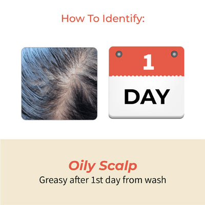 Tavas Non Sticky Hair Fall Oil for Oily Scalp