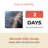 Viruj Hair Fall Oil for Normal-Oily Scalp